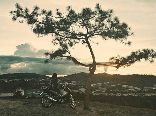 Việt Nam đẹp qua các MV ca nhạc