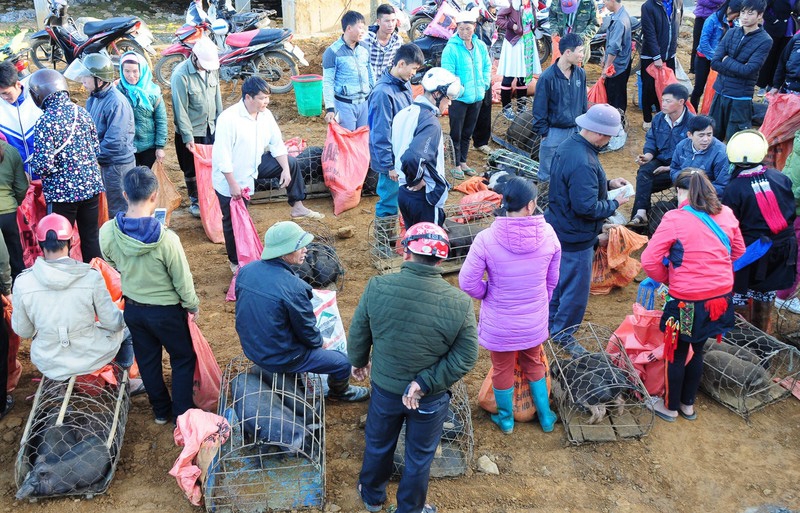 quyen ru cho phien san thang o lai chau