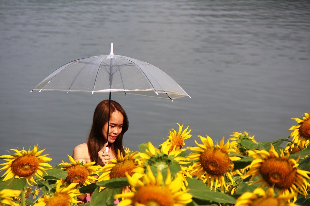 Tiếc cho một điểm dừng chân thơ mộng Tiếc cho một điểm dừng chân thơ mộng