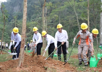 Tổng công ty Điện lực miền Bắc hưởng ứng Lễ trồng cây trên các “Con đường du lịch hoài niệm các di tích Quốc gia”