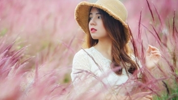 Lâm Đồng: Đồi cỏ hồng đẹp như truyện tranh