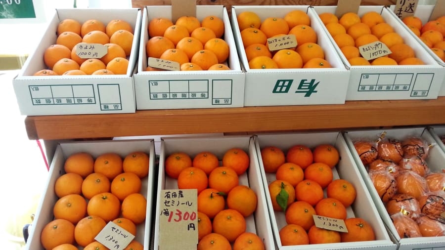 Wakayama - Nơi “thưởng thức” văn hóa truyền thống Nhật Bản