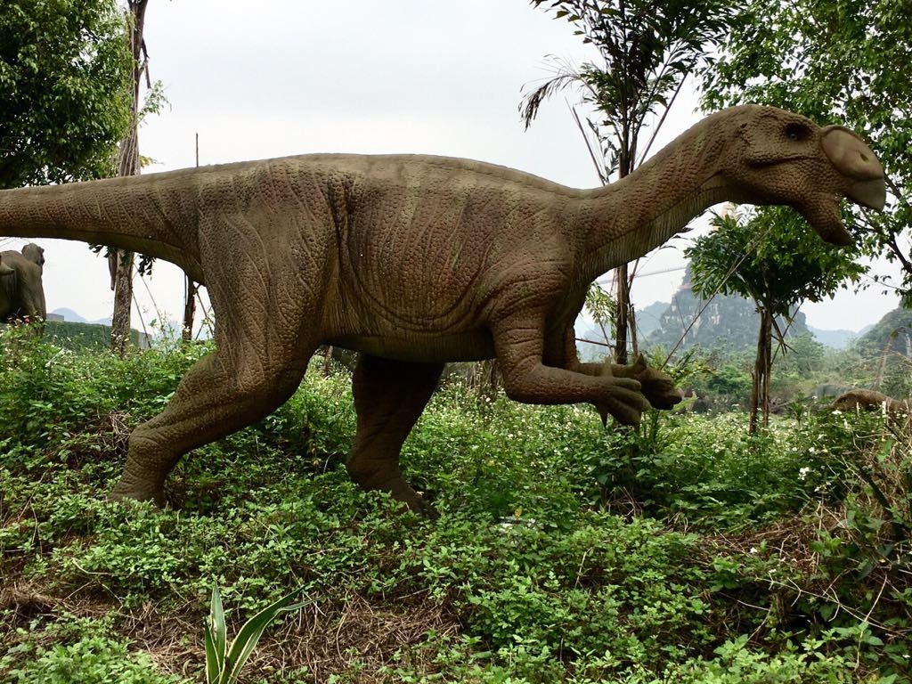 du lich nam ninh trung quoc co gi moi