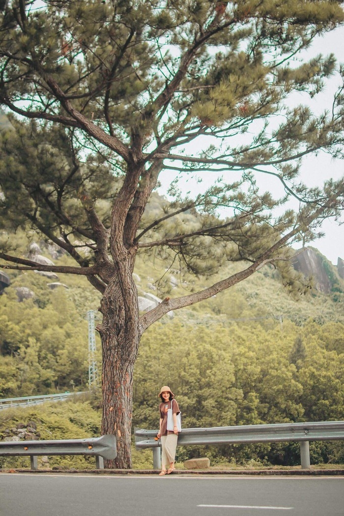 Cây thông cô đơn – Cùng checkin với hội bạn thân ngay nào!