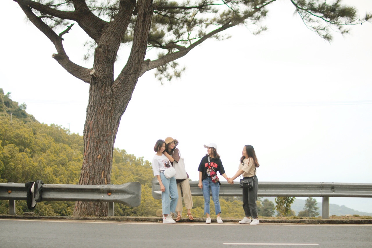 Cây thông cô đơn – Cùng checkin với hội bạn thân ngay nào!