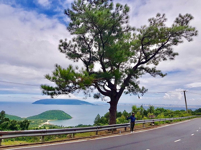 Cây thông cô đơn – Cùng checkin với hội bạn thân ngay nào!