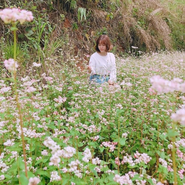 lac vao xu so hoa son dien trang da lat