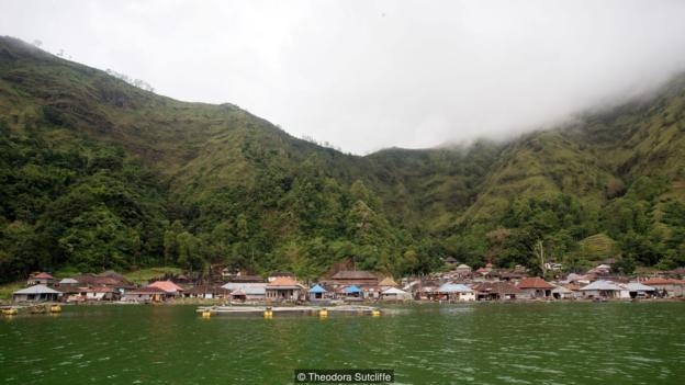 su ky la ben cay co thu gan voi doi song tam linh cua mot ngoi lang tai bali