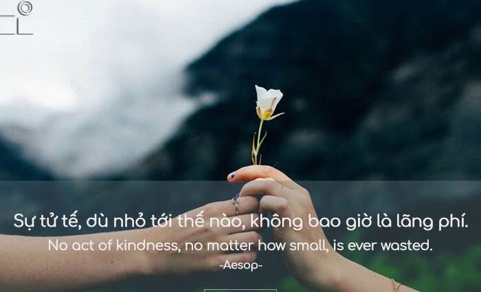 phan thuong cho trai tim nhan hau