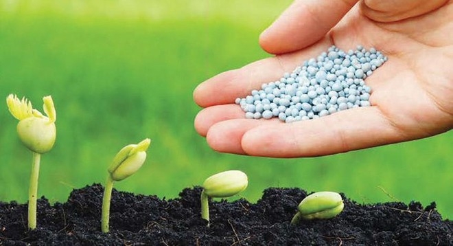 Giá phân bón hôm nay 13/4: Có sự biến động