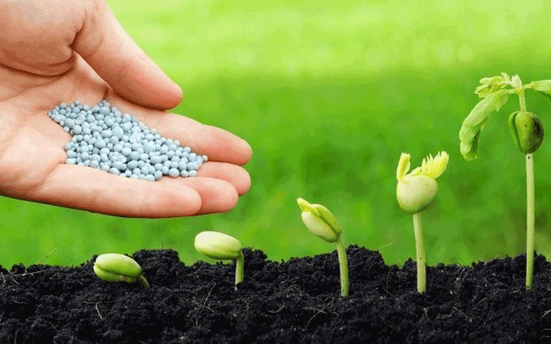 Giá phân bón hôm nay 15/4: Giữ mức ổn định