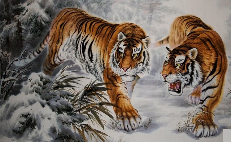hai con ho so phan khac nhau