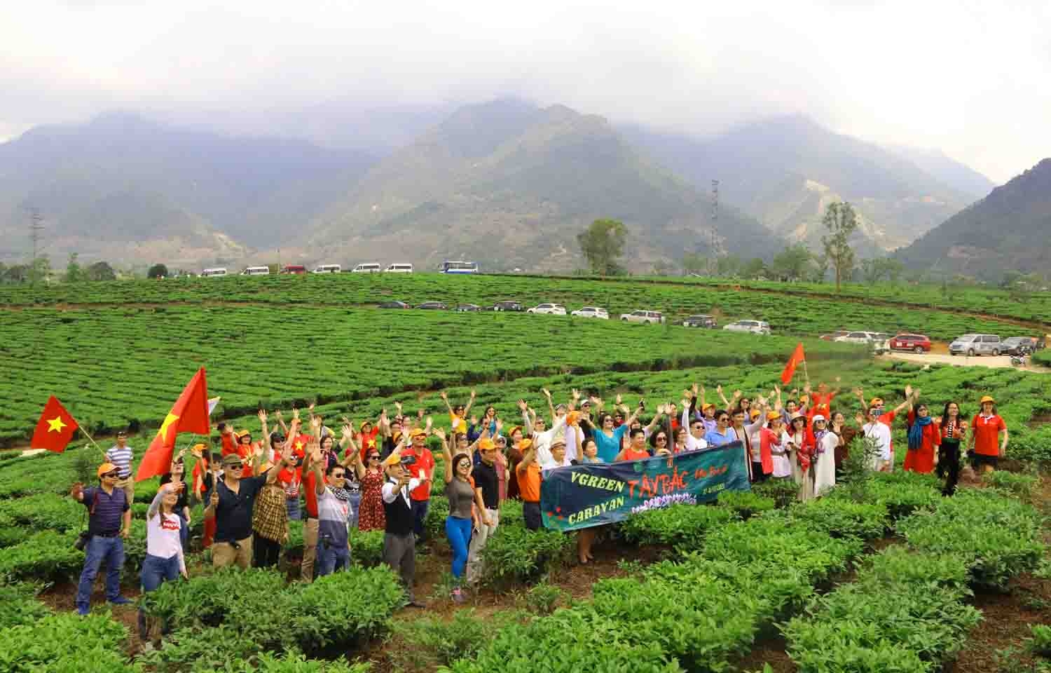 Hương chè Lai Châu Hương chè Lai Châu