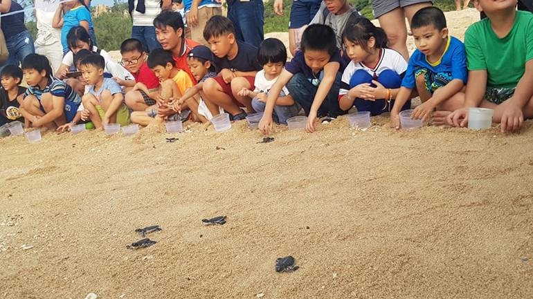 ninh thua n cung be trai nghiem thu vi vao mua he tai bai ru a de