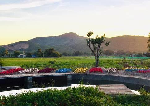 phat sot voi phim truong du long ninh thuan