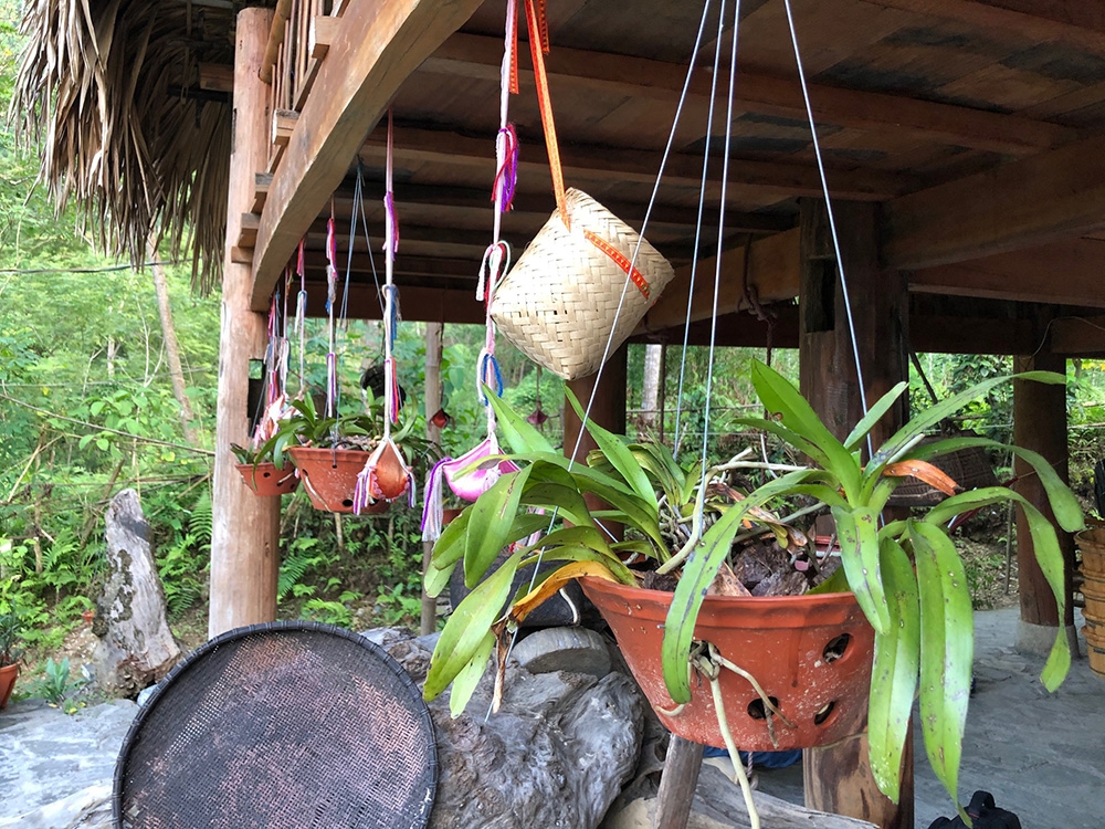 Trải nghiệm homestay Lâm Bình
