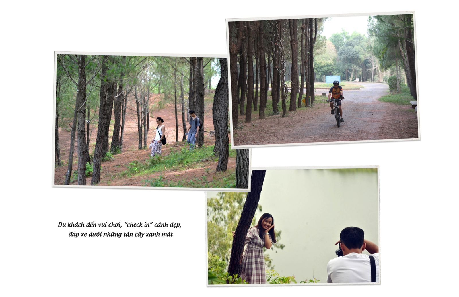 doi vong canh cong vien cong dong va hon the nua