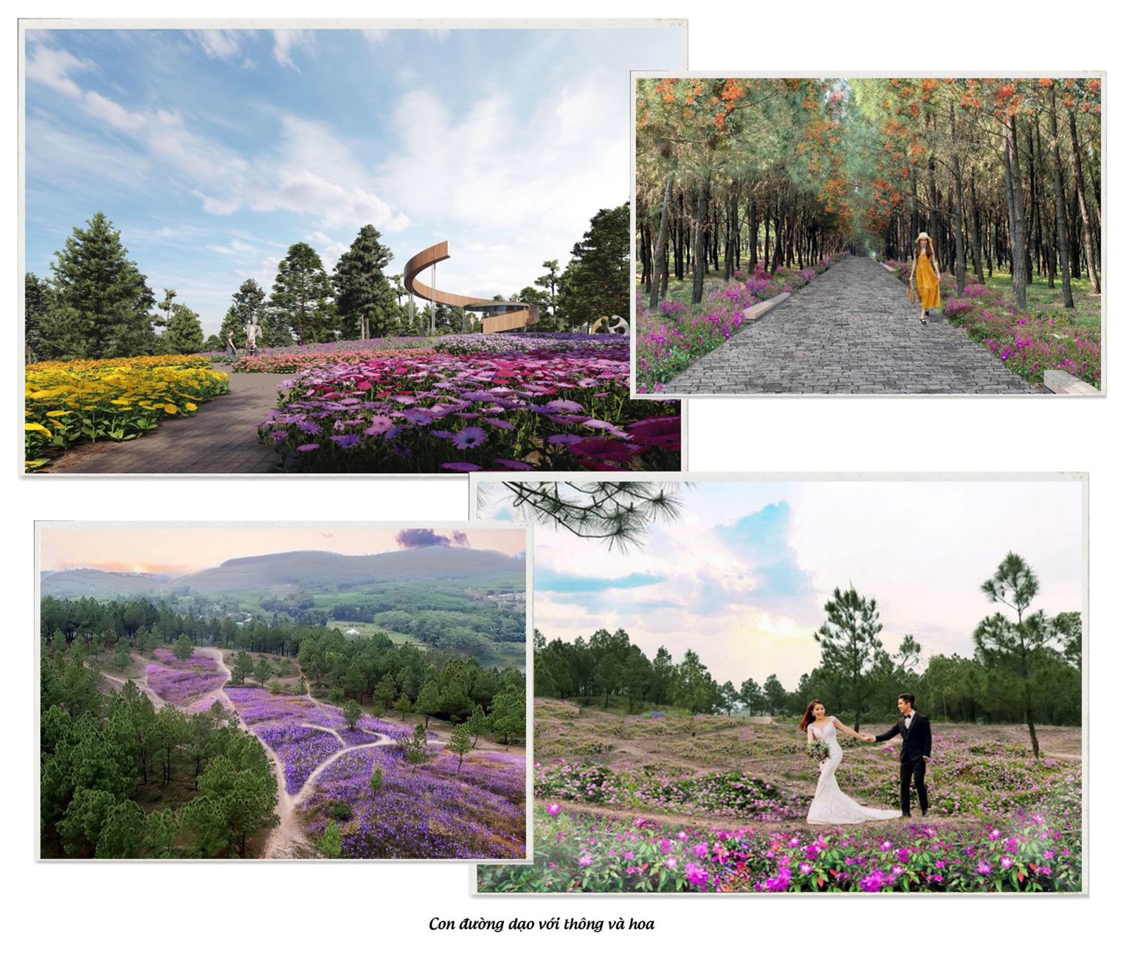 doi vong canh cong vien cong dong va hon the nua