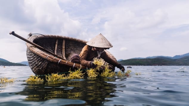 tai sao hoi an co the lay long duoc khach nuoc ngoai