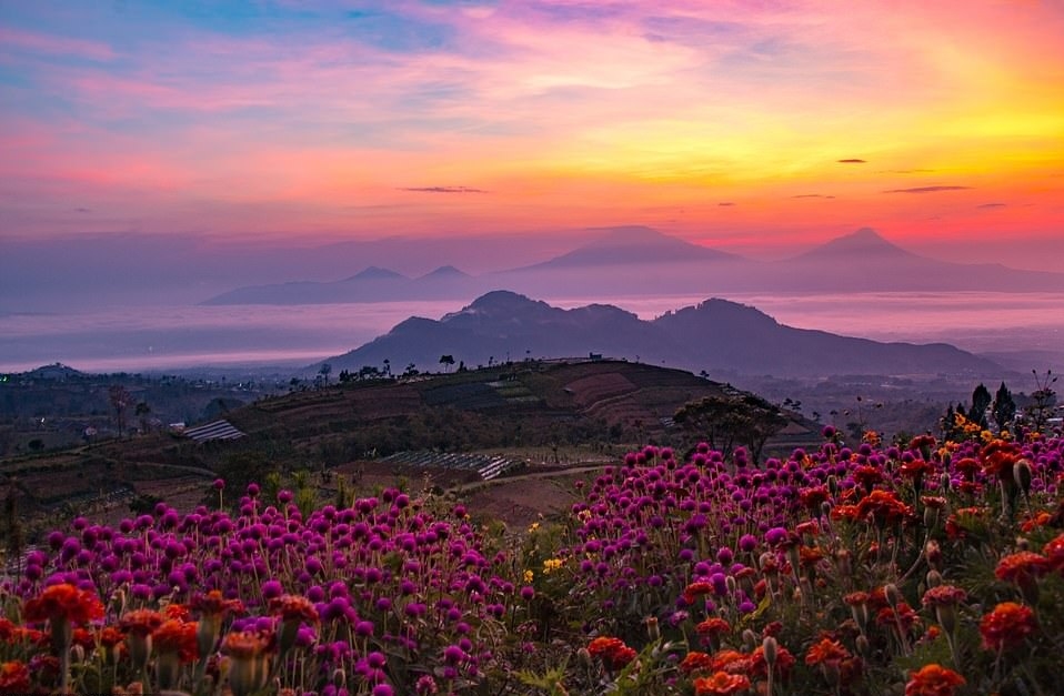 Việt Nam giành chiến thắng cuộc thi ảnh AGORA Images Beauty 2019 (Kỳ I) viet nam gianh chien thang cuoc thi anh agora images beauty 2019 ky i