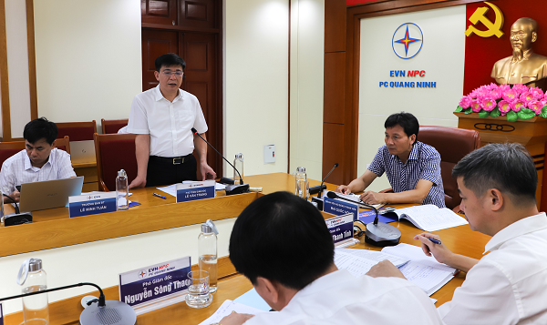 dien luc quang ninh phan dau hoan thanh tot ke hoach san xuat kinh doanh giai doan 2016 2020