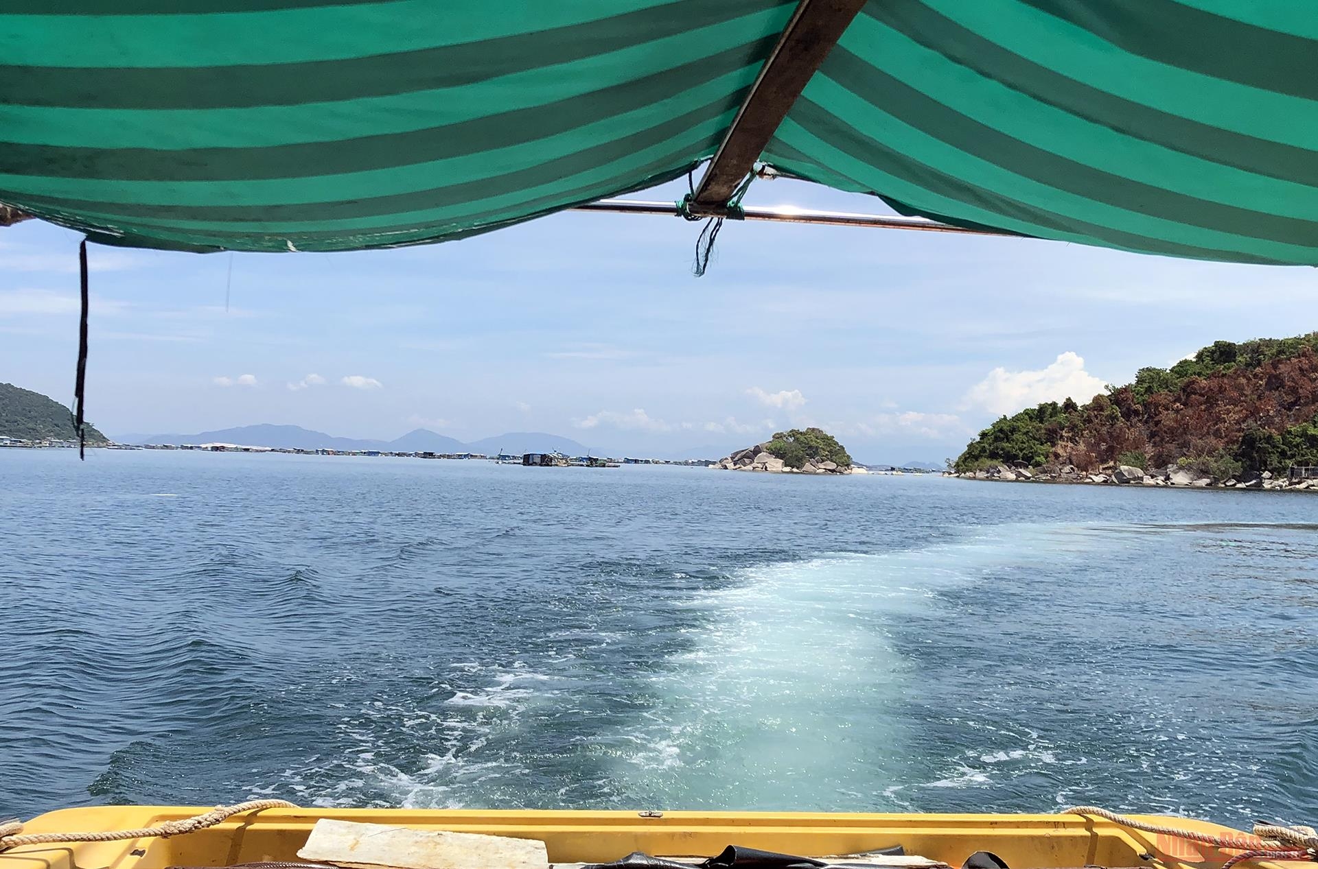 Khám phá mũi Đại Lãnh, Vũng Rô