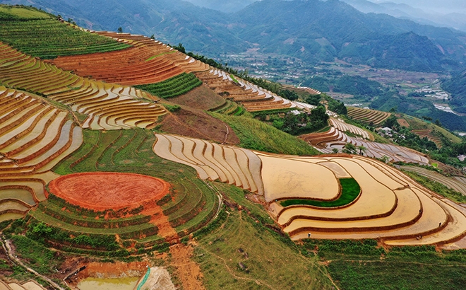 Xốn xang 