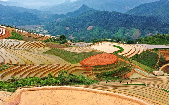 Xốn xang 