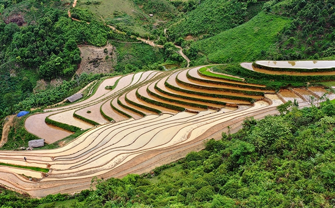 Xốn xang 