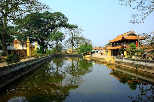 Giá heo hơi hôm nay ngày 24/7: Cuối tuần giá lợn hơi lao dốc