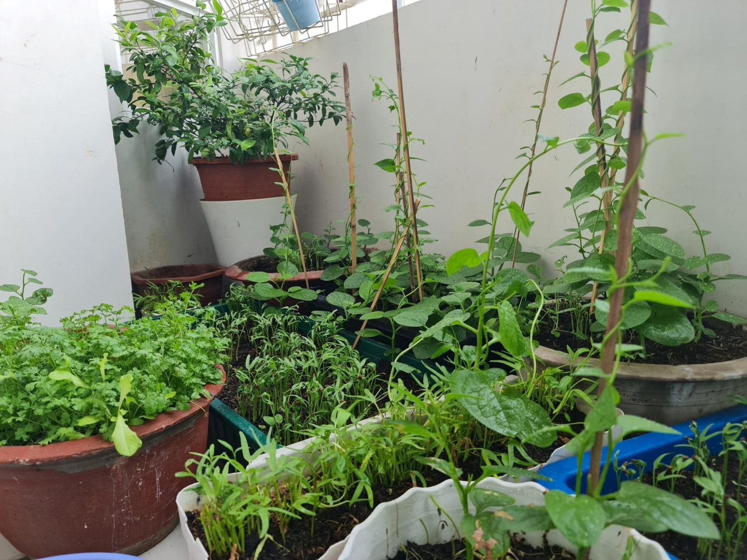 Những cách đơn giản giúp giảm căng thẳng, mệt mỏi khi ở nhà thời giãn cách
