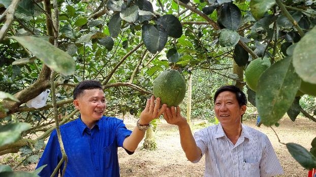 Làn gió mới từ du lịch nông nghiệp nông thôn