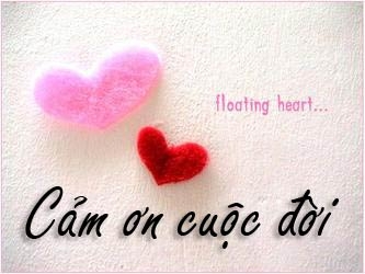 bong dung toi muon noi cam on cuoc doi