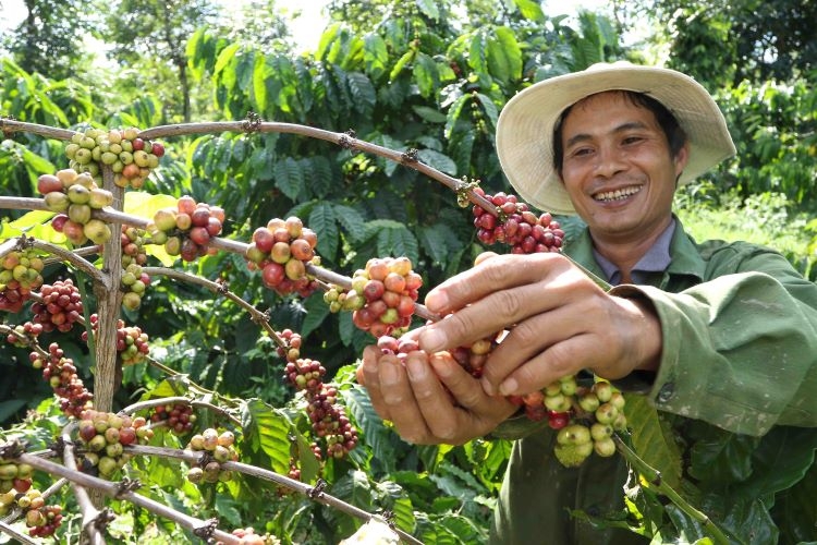 nestle viet nam vinh du don nhan bang khen cua thu tuong chinh phu