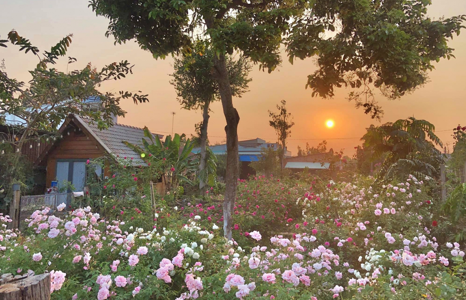 Trắc nghiệm: Ngôi nhà nhỏ bạn chọn hé lộ chuyện tình cảm của bạn