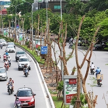 tai hien nghi thuc le chao co ngay giai phong thu do