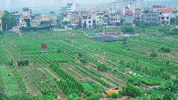 Mong chờ đô thị ven sông