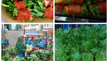 Rau cải Mèo - Đặc sản ngọt lành được đất trời ban tặng cho Sa Pa