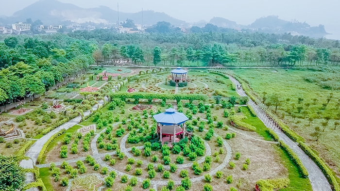 Đảo Ngọc Xanh giữa lòng thành phố