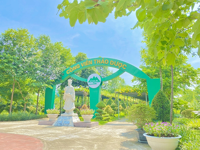 Đảo Ngọc Xanh giữa lòng thành phố
