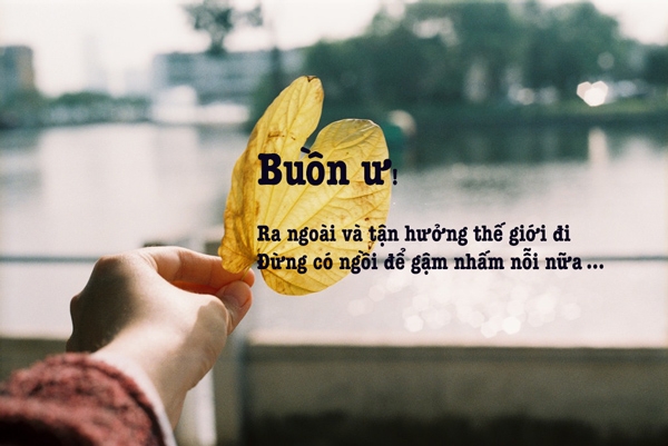 bi kip cua vui ve