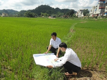 Đôn đốc thực hiện công tác kiểm kê đất đai, lập bản đồ hiện trạng sử dụng đất năm 2019