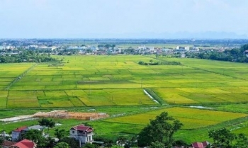 Chuyển đất trồng cây hàng năm sang chăn nuôi có phải xin phép không?