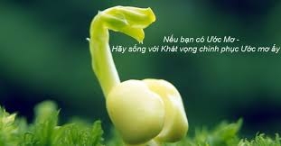 hay song voi uoc mo