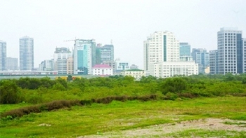 04 trường hợp không được nhận chuyển nhượng, nhận tặng cho quyền sử dụng đất