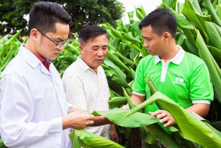 Công ty Elepharma tiên phong ứng dụng công nghệ cao vào dược liệu cổ truyền