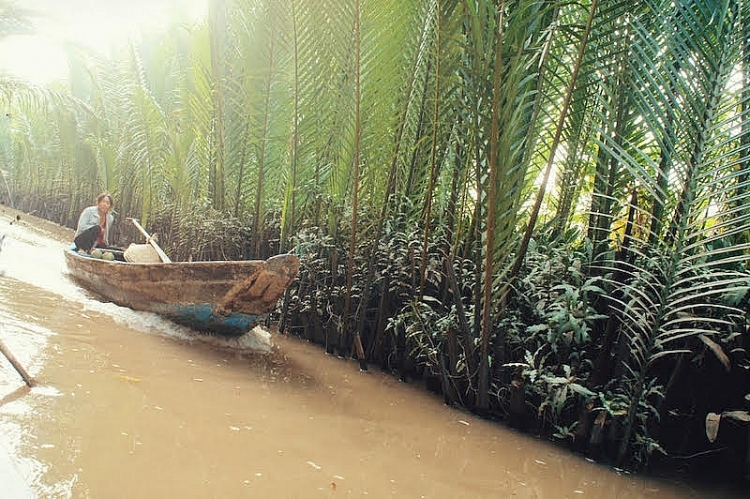 Đến cầu Rạch Miễu, hưởng ngoạn hai ốc đảo xanh mướt trên sông Tiền Đến cầu Rạch Miễu, hưởng ngoạn hai ốc đảo xanh mướt trên sông Tiền