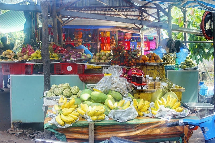 Đến cầu Rạch Miễu, hưởng ngoạn hai ốc đảo xanh mướt trên sông Tiền Đến cầu Rạch Miễu, hưởng ngoạn hai ốc đảo xanh mướt trên sông Tiền