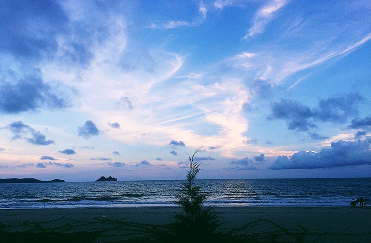 Vân Đồn choàng tỉnh giấc cùng khát khao vươn mình ra thế giới van don choang tinh giac cung khat khao vuon minh ra the gioi