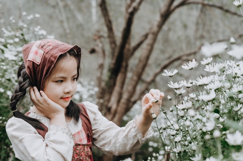 Du lịch Mộc Châu tháng 11: Mộng mơ cúc trắng, ấm áp cam vàng